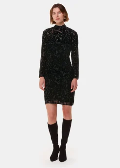 Black Hot Fix Floral Velvet Dress