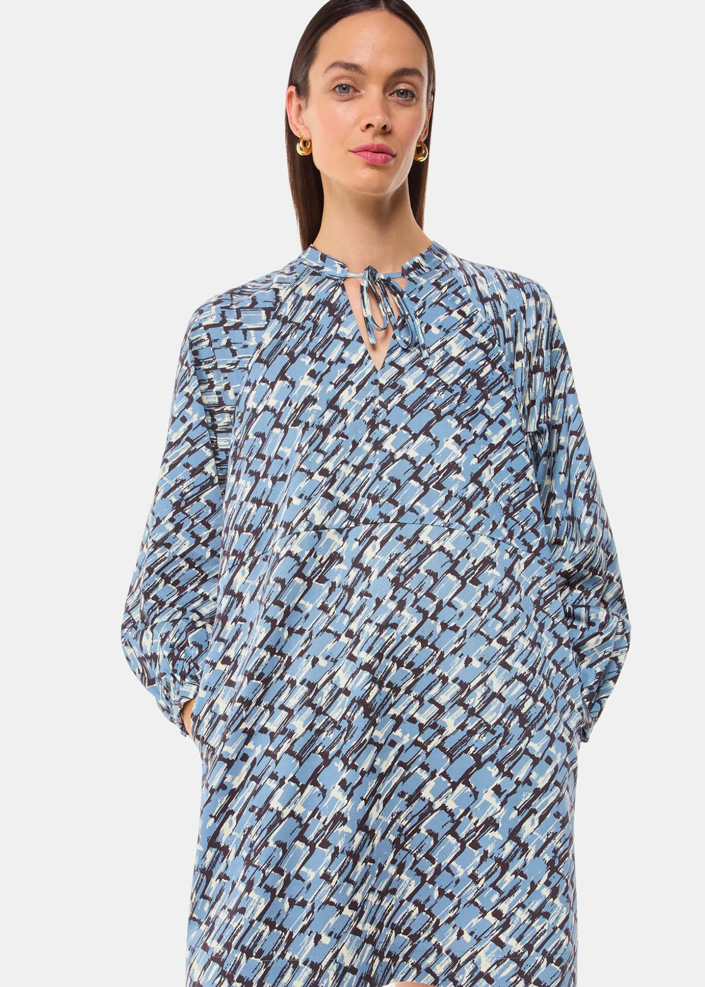 Blue Feathered Wing Marnie Dress