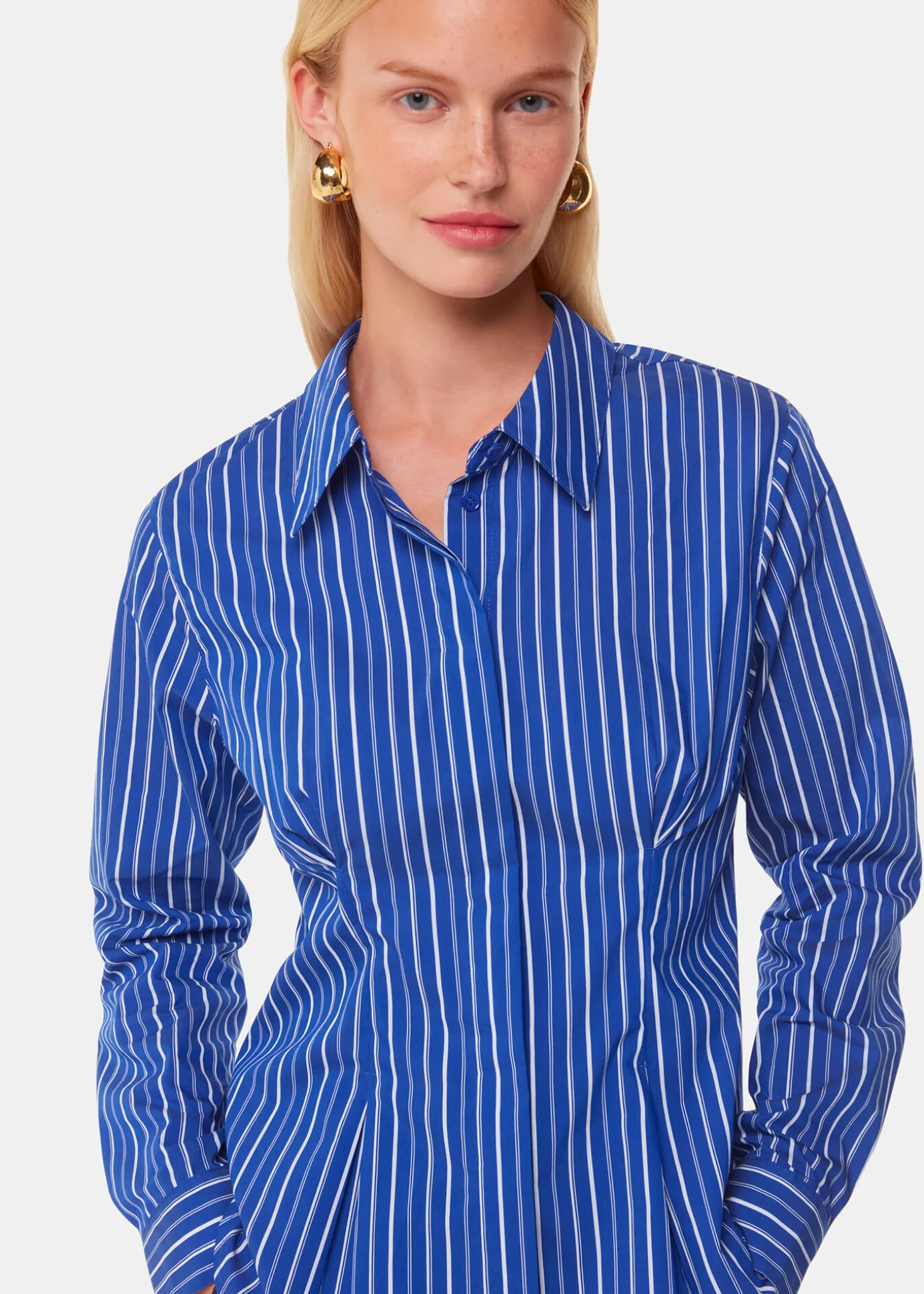Blue Stripe Waisted Cotton Shirt