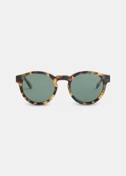 Brown Isle of Eden Eddie Sunglasses