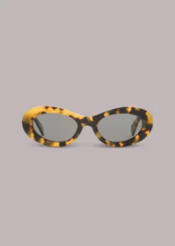 Brown Isle of Eden Franky Sunglasses