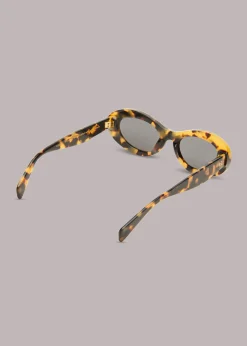 Brown Isle of Eden Franky Sunglasses