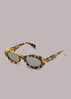 Brown Isle of Eden Franky Sunglasses