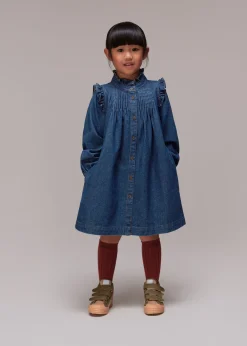 Denim Nell Denim Dress