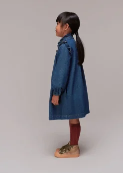 Denim Nell Denim Dress