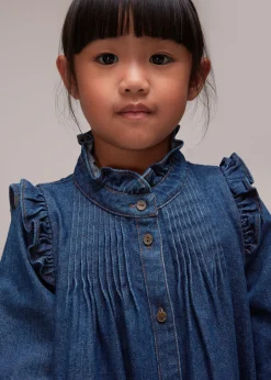 Denim Nell Denim Dress