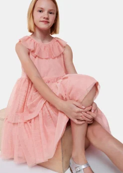 Dusty Pink Tilda Tulle Frill Sleeve Dress