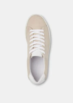 Grey Raife Minimal Trainer