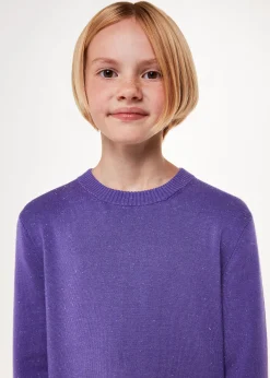 Lilac Annie Sparkle Knit Dress