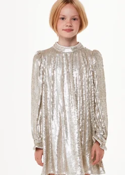 Silver Sadie Sequin Dress