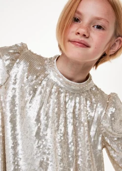 Silver Sadie Sequin Dress