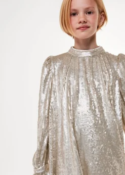 Silver Sadie Sequin Dress