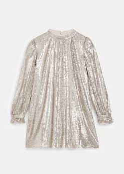 Silver Sadie Sequin Dress